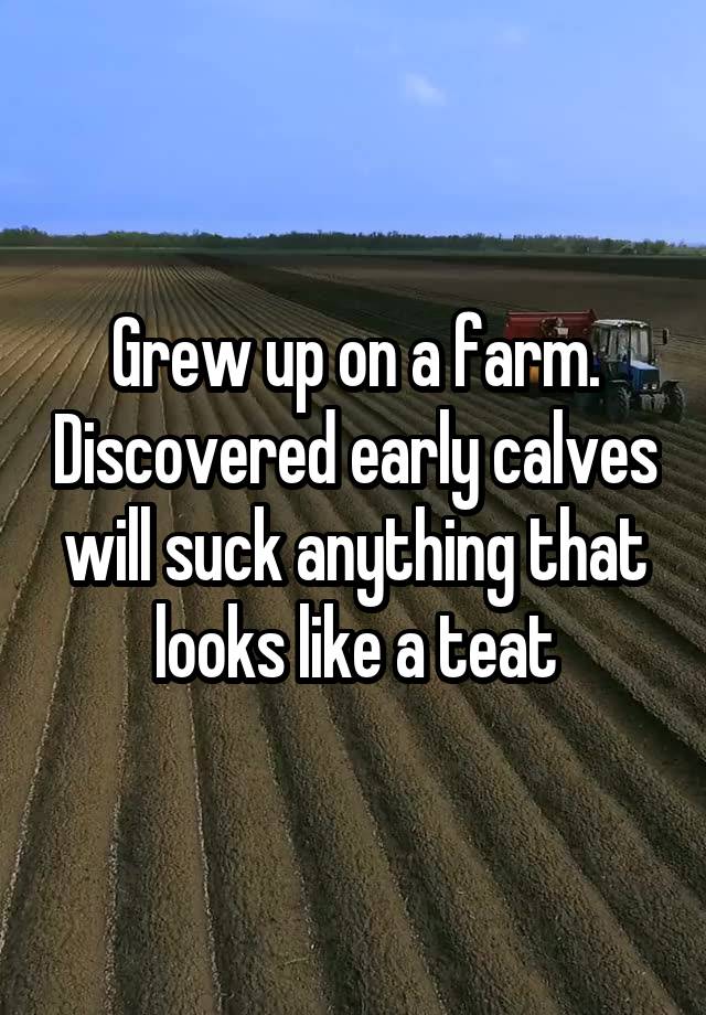 Grew up on a farm. Discovered early calves will suck anything that looks like a teat