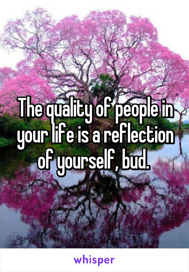 The quality of people in your life is a reflection of yourself, bud. 