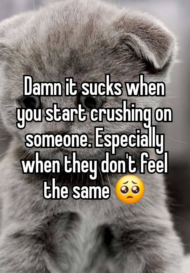 Damn it sucks when you start crushing on someone. Especially when they don't feel the same 🥺