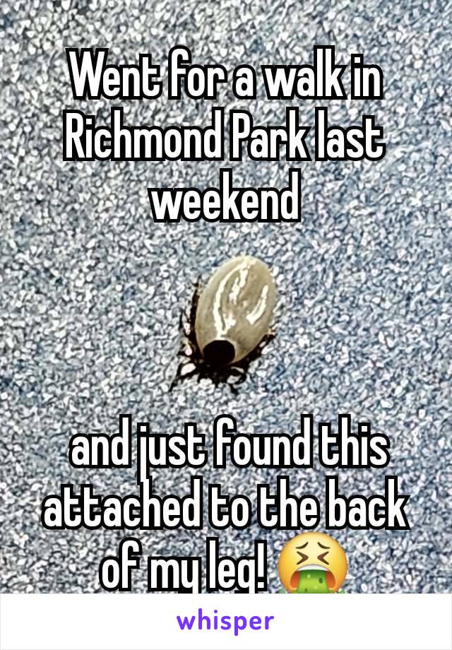 Went for a walk in Richmond Park last weekend



 and just found this attached to the back of my leg! 🤮