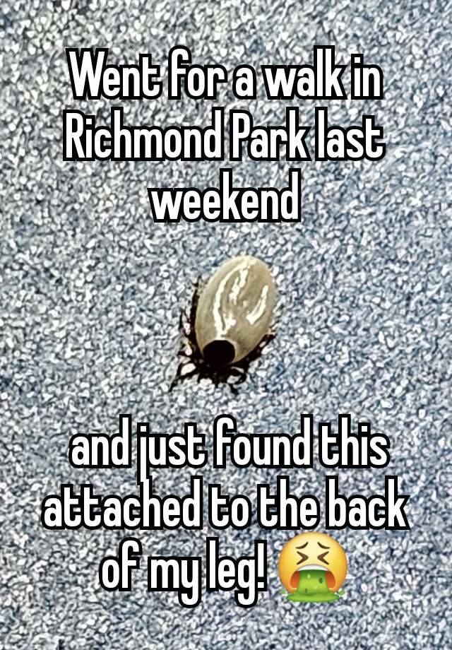 Went for a walk in Richmond Park last weekend



 and just found this attached to the back of my leg! 🤮