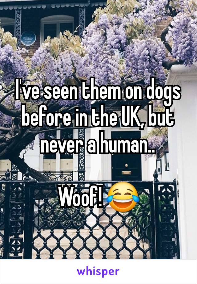 I've seen them on dogs before in the UK, but never a human..

Woof! 😂