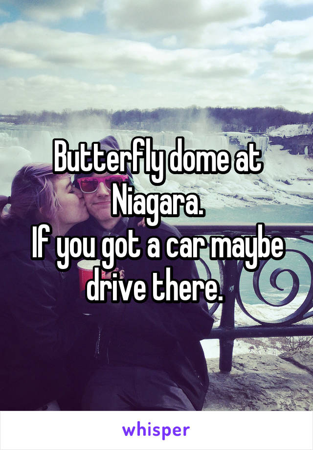 Butterfly dome at Niagara.
If you got a car maybe drive there. 