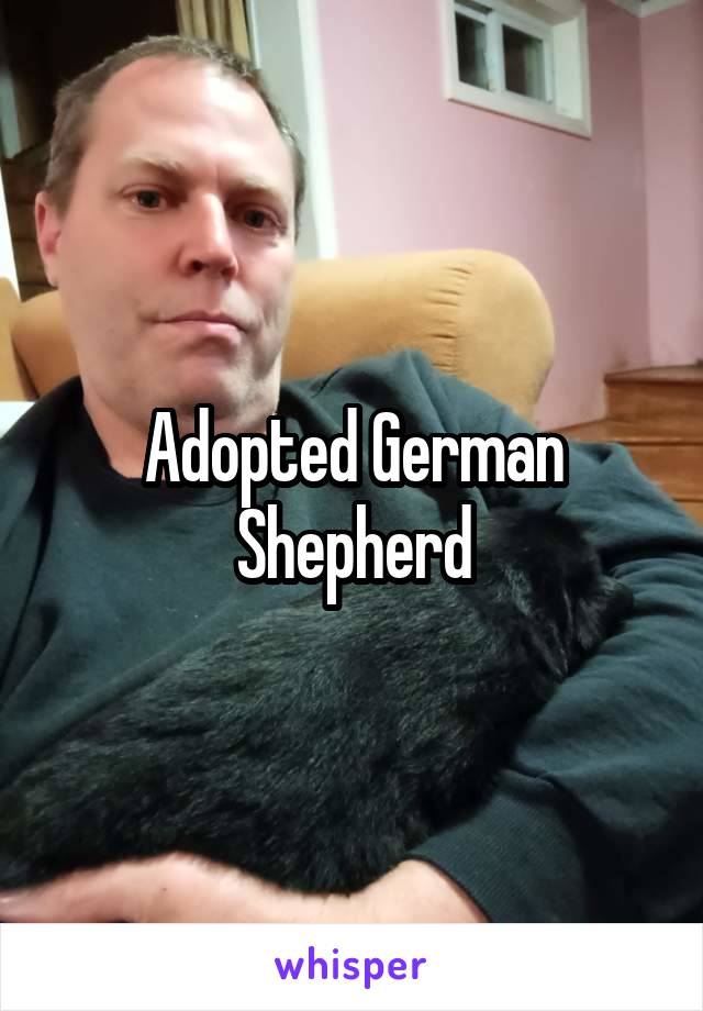 Adopted German Shepherd