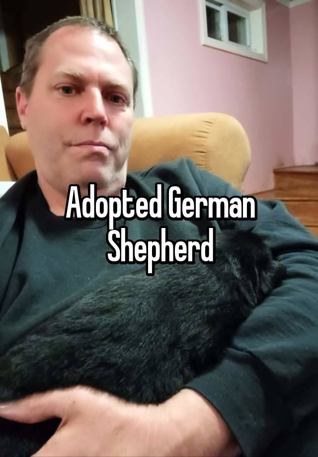 Adopted German Shepherd