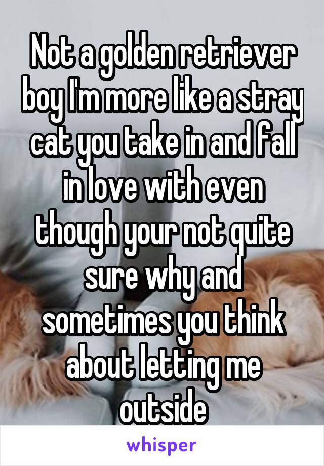 Not a golden retriever boy I'm more like a stray cat you take in and fall in love with even though your not quite sure why and sometimes you think about letting me outside