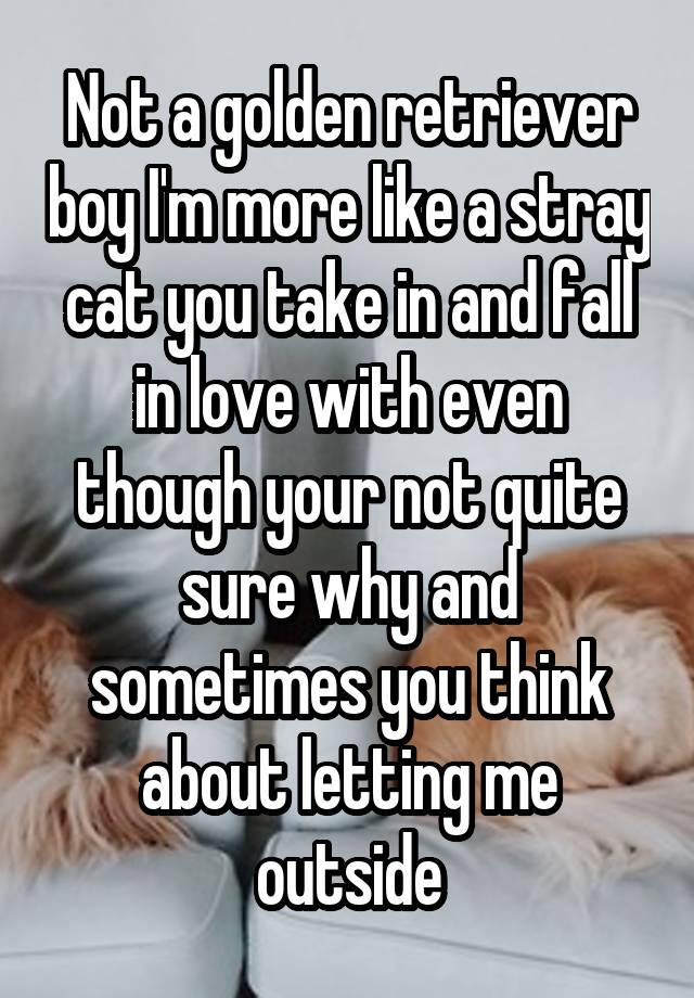 Not a golden retriever boy I'm more like a stray cat you take in and fall in love with even though your not quite sure why and sometimes you think about letting me outside