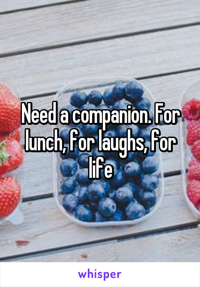 Need a companion. For lunch, for laughs, for life