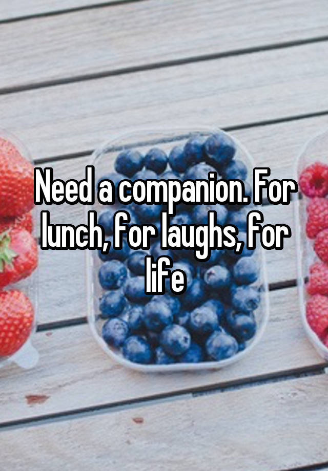 Need a companion. For lunch, for laughs, for life