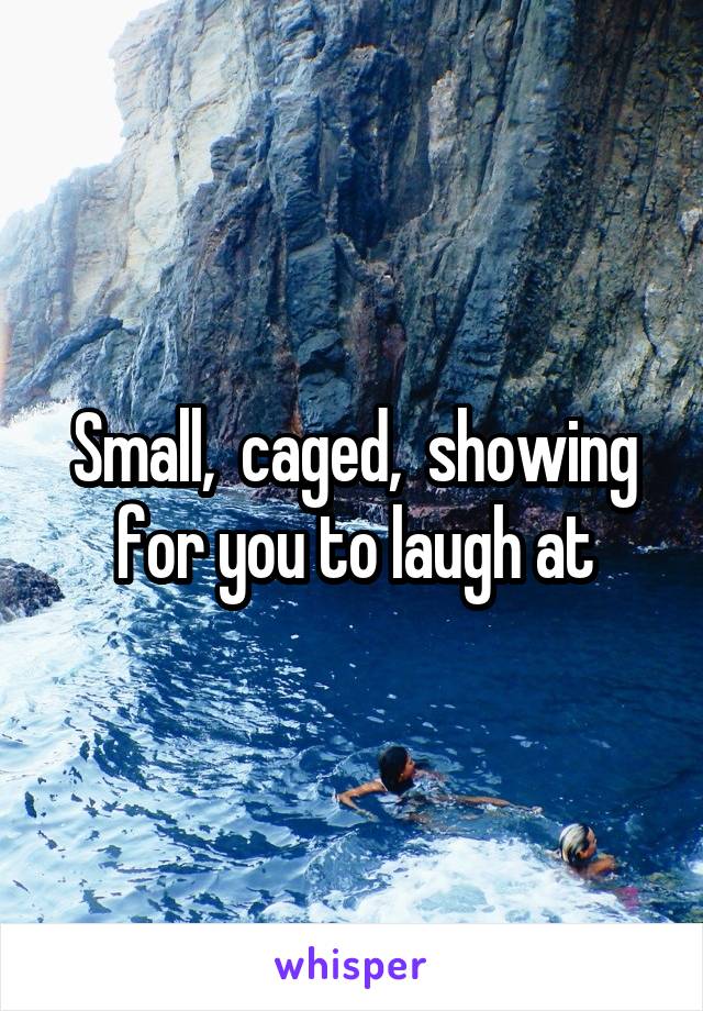 Small,  caged,  showing for you to laugh at