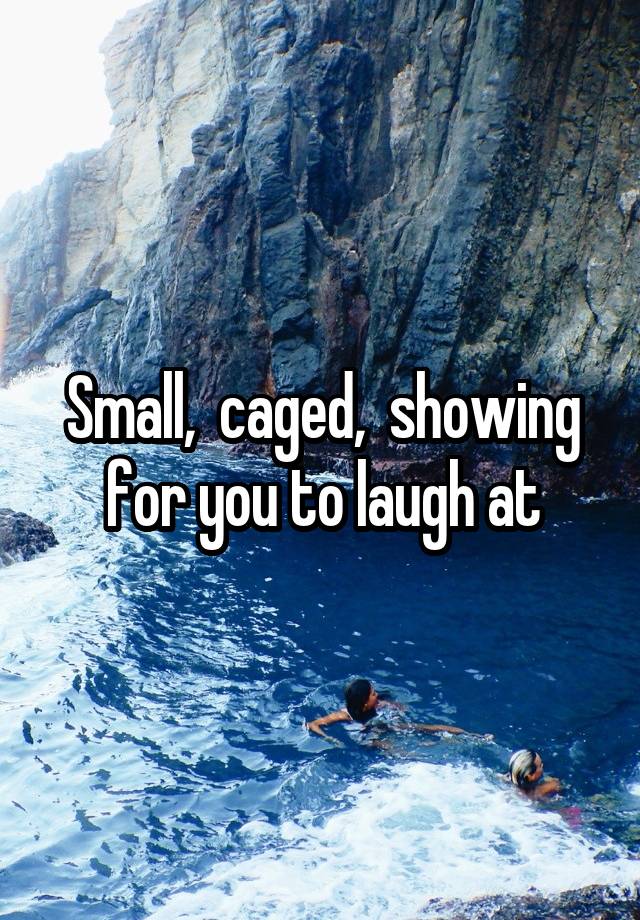 Small,  caged,  showing for you to laugh at