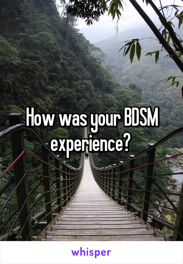 How was your BDSM experience? 