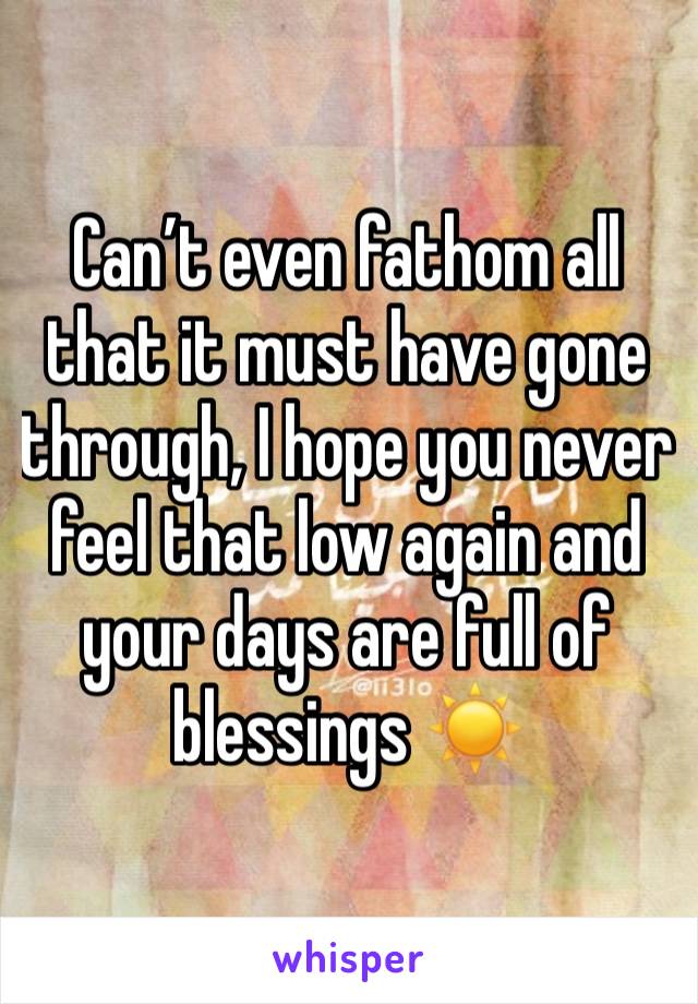 Can’t even fathom all that it must have gone through, I hope you never feel that low again and your days are full of blessings ☀️