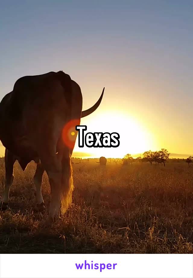 Texas