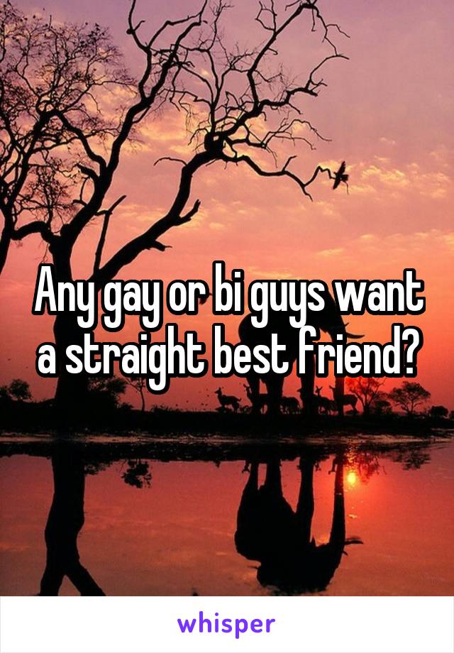 Any gay or bi guys want a straight best friend?