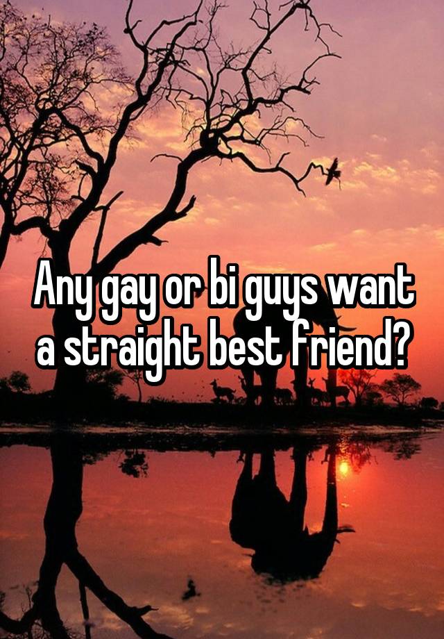 Any gay or bi guys want a straight best friend?