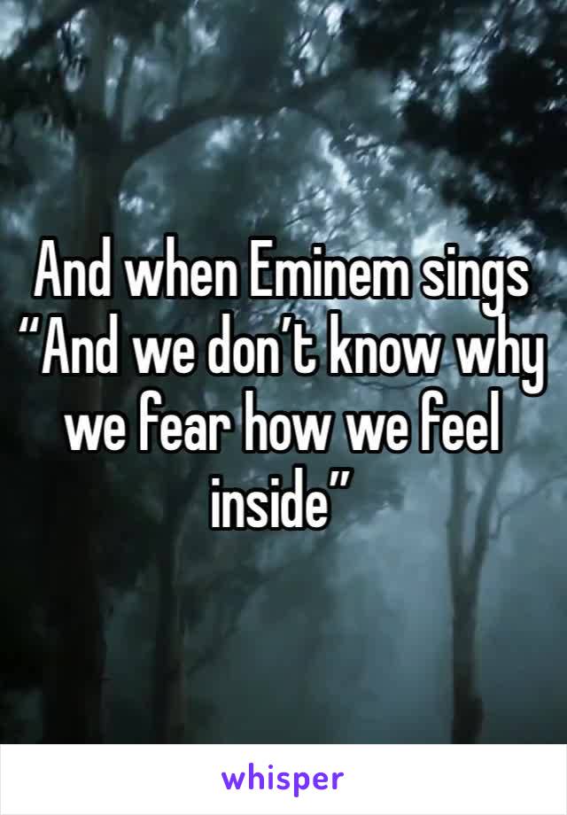 And when Eminem sings
“And we don’t know why we fear how we feel inside”
