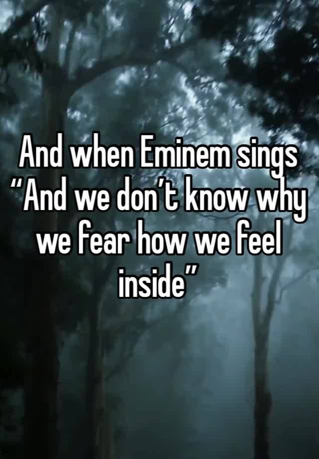 And when Eminem sings
“And we don’t know why we fear how we feel inside”
