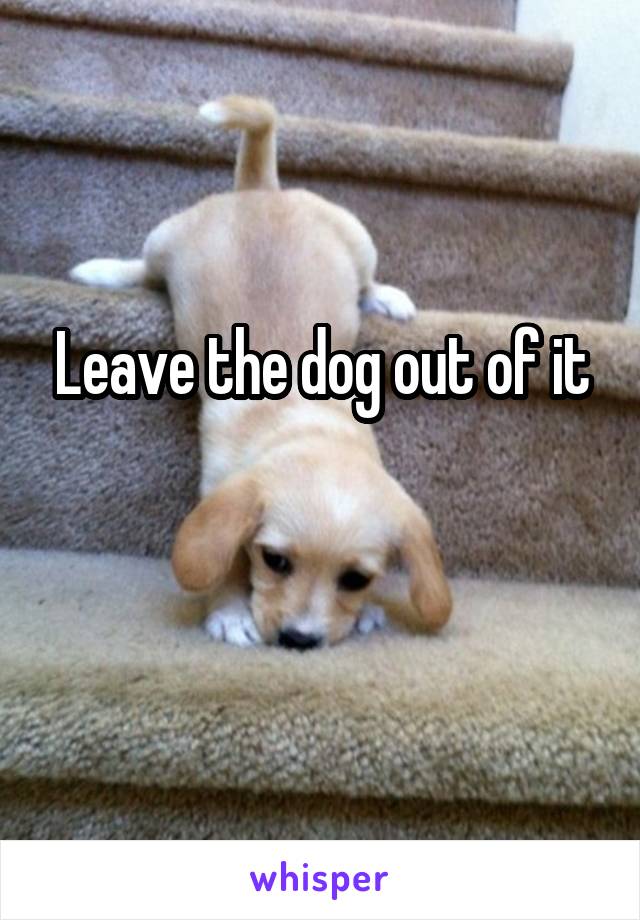 Leave the dog out of it

