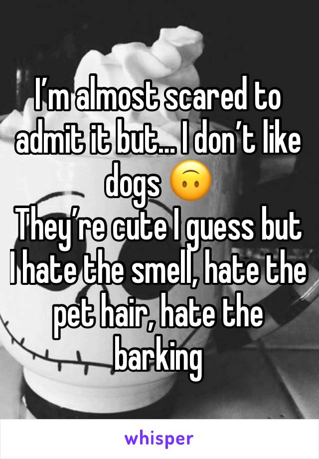 I’m almost scared to admit it but… I don’t like dogs 🙃
They’re cute I guess but I hate the smell, hate the pet hair, hate the barking 