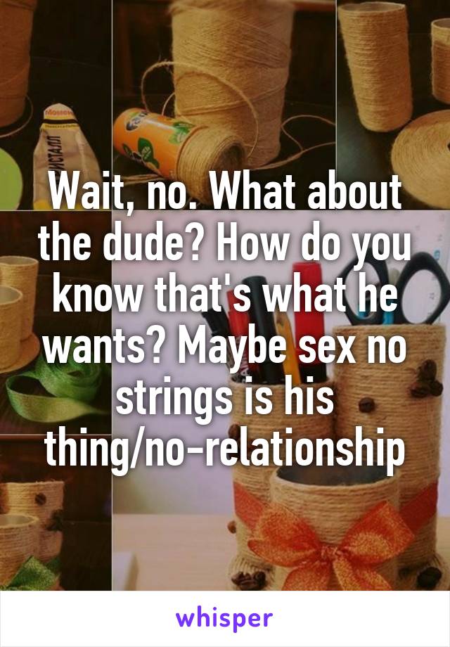 Wait, no. What about the dude? How do you know that's what he wants? Maybe sex no strings is his thing/no-relationship