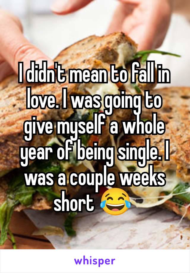 I didn't mean to fall in love. I was going to give myself a whole year of being single. I was a couple weeks short 😂 