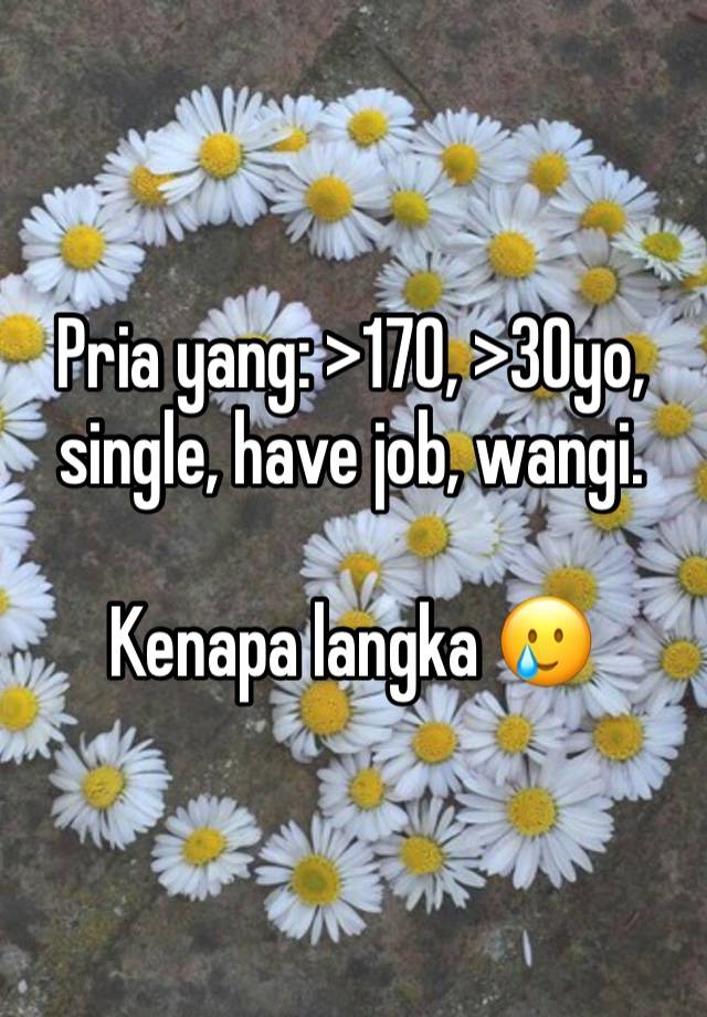 Pria yang: >170, >30yo, single, have job, wangi.

Kenapa langka 🥲