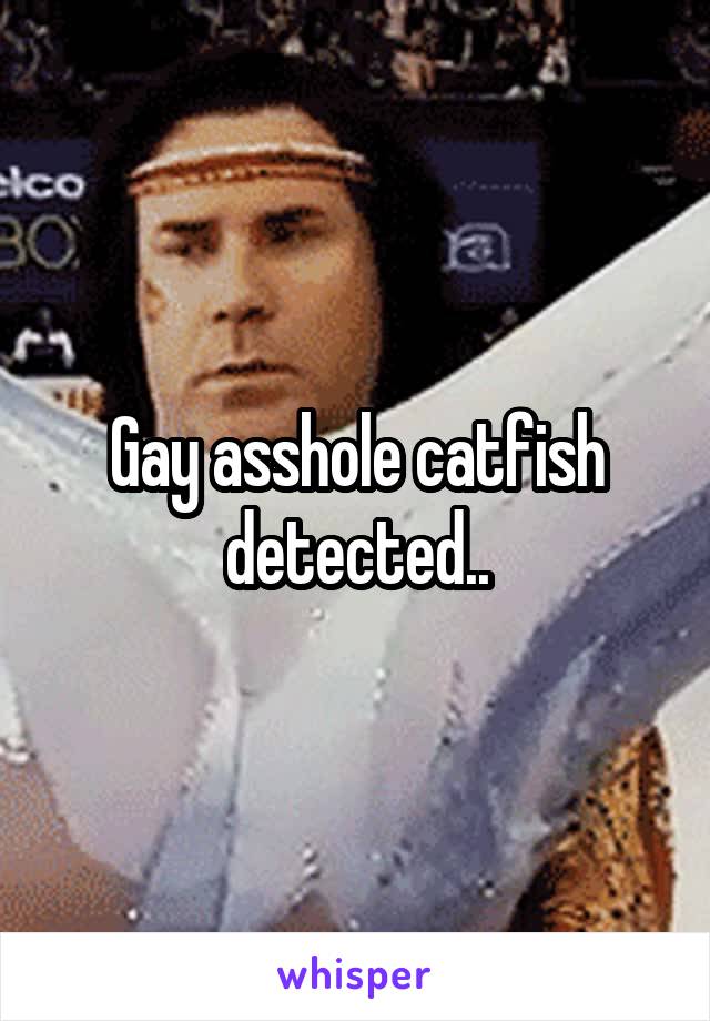Gay asshole catfish detected..