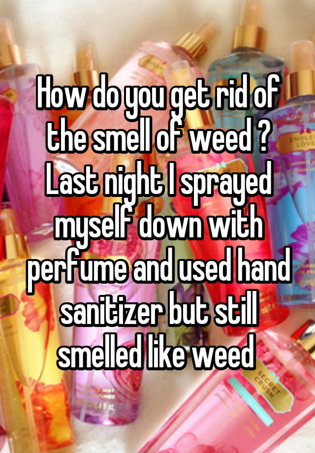 How do you get rid of the smell of weed ? Last night I sprayed myself down with perfume and used hand sanitizer but still smelled like weed 