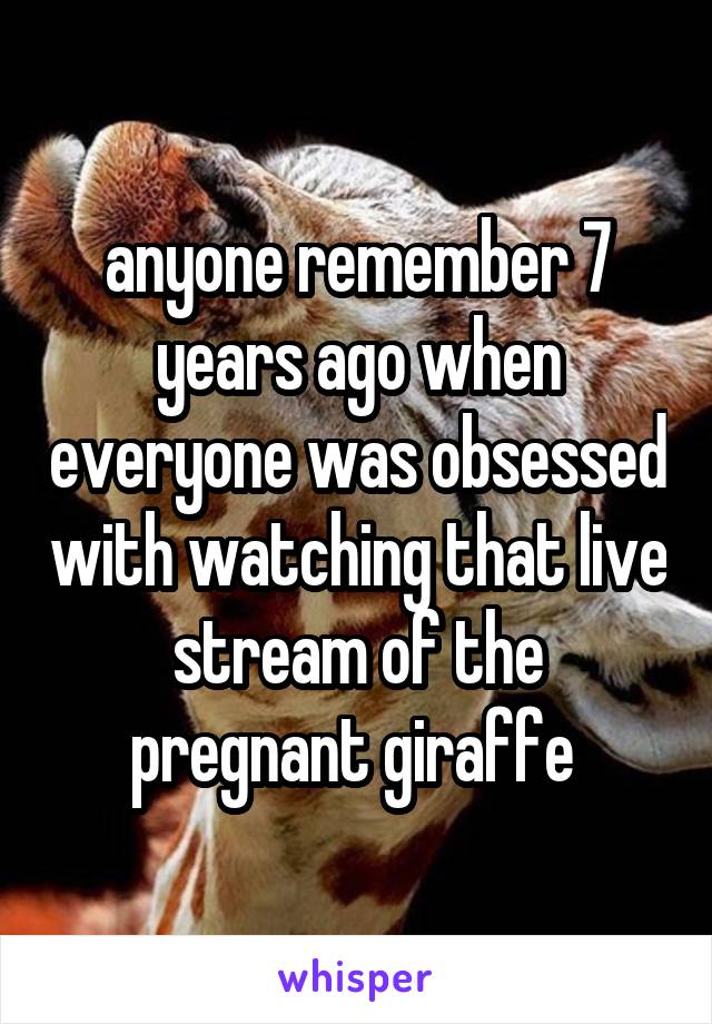 anyone remember 7 years ago when everyone was obsessed with watching that live stream of the pregnant giraffe 