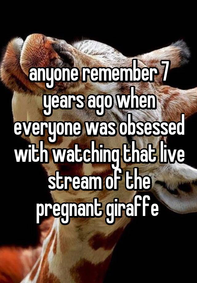 anyone remember 7 years ago when everyone was obsessed with watching that live stream of the pregnant giraffe 