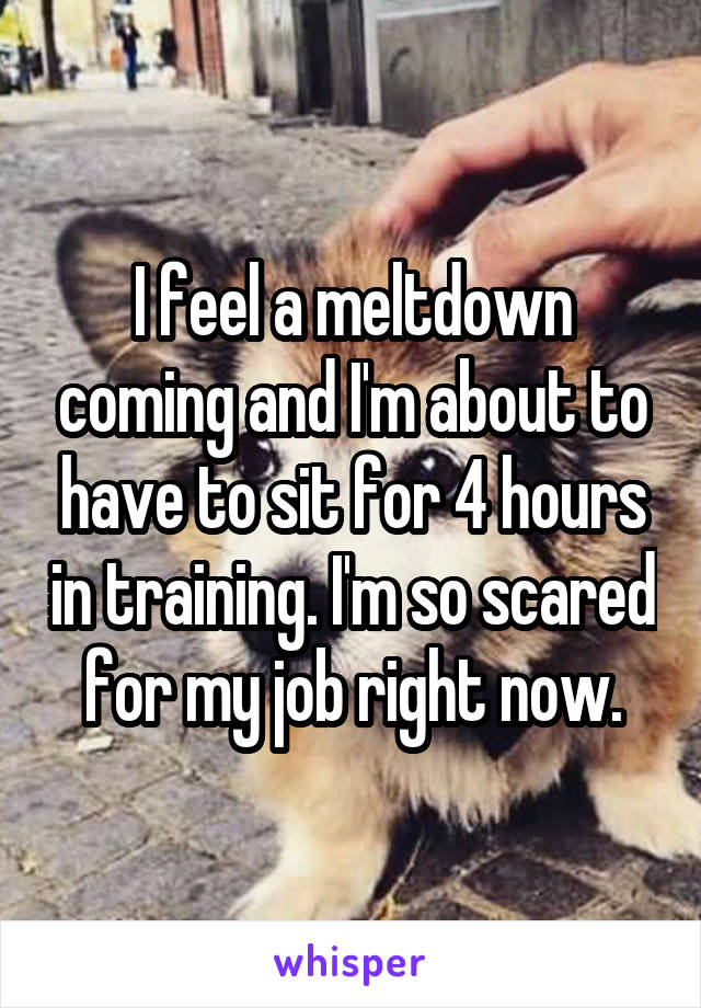 I feel a meltdown coming and I'm about to have to sit for 4 hours in training. I'm so scared for my job right now.