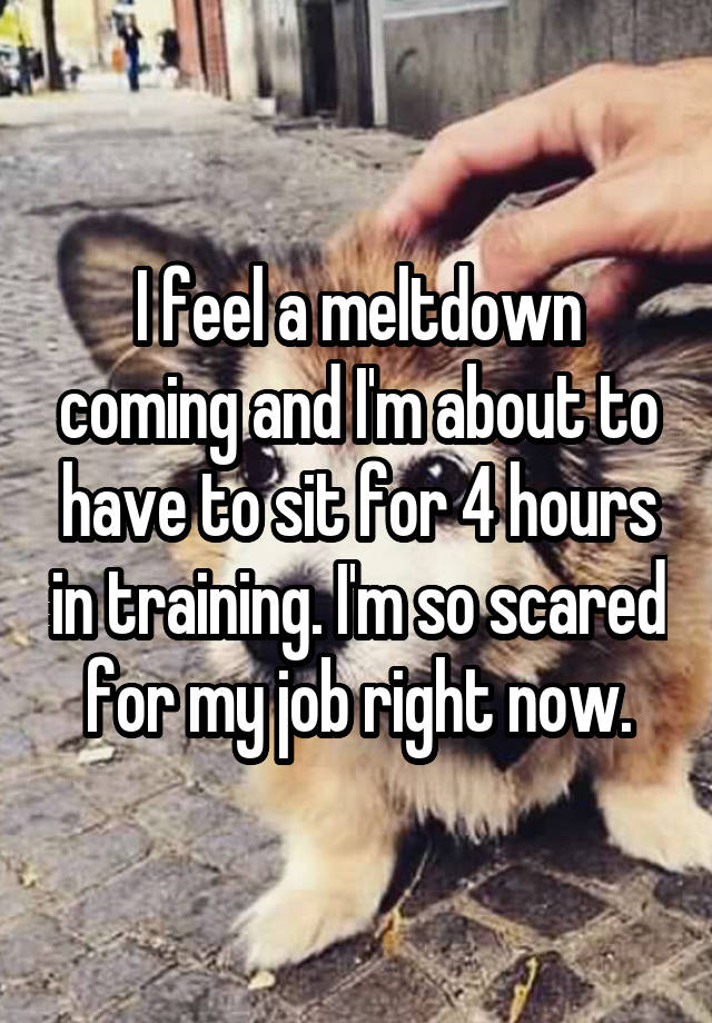 I feel a meltdown coming and I'm about to have to sit for 4 hours in training. I'm so scared for my job right now.