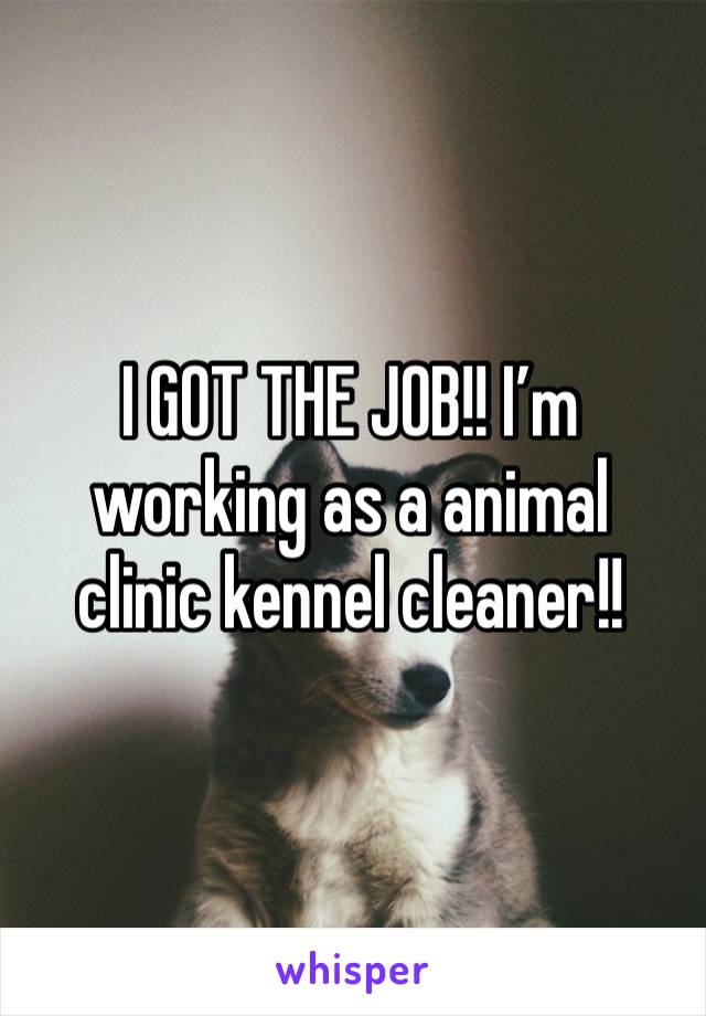 I GOT THE JOB!! I’m working as a animal clinic kennel cleaner!!