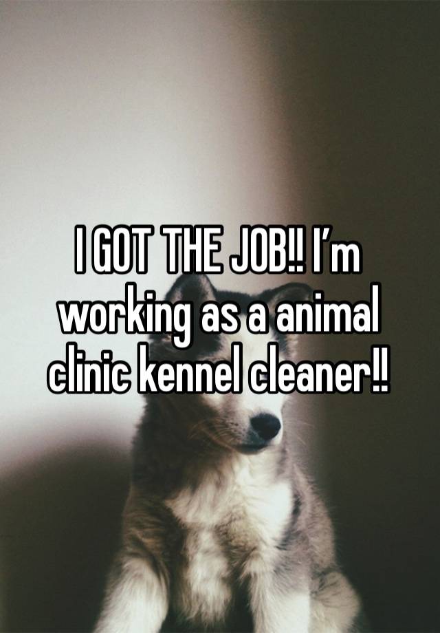 I GOT THE JOB!! I’m working as a animal clinic kennel cleaner!!