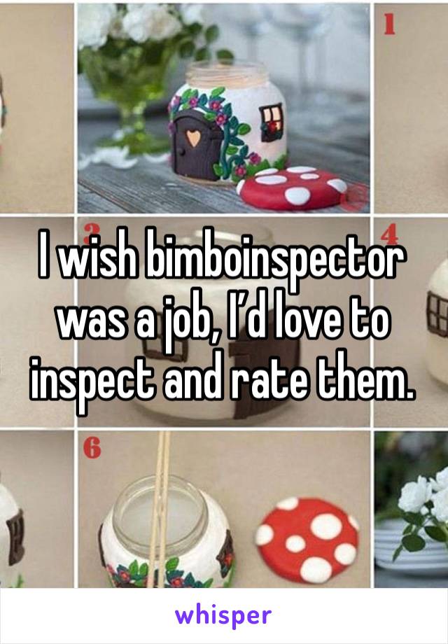 I wish bimboinspector was a job, I’d love to inspect and rate them.