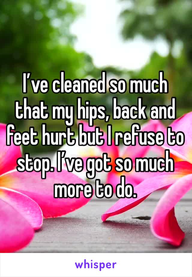 I’ve cleaned so much that my hips, back and feet hurt but I refuse to stop. I’ve got so much more to do. 