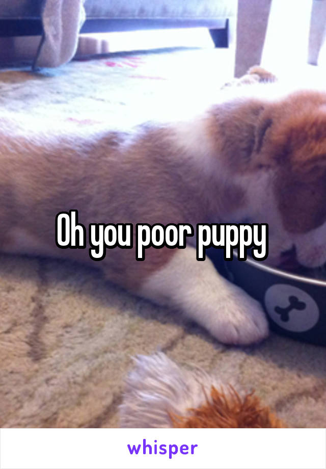 Oh you poor puppy 