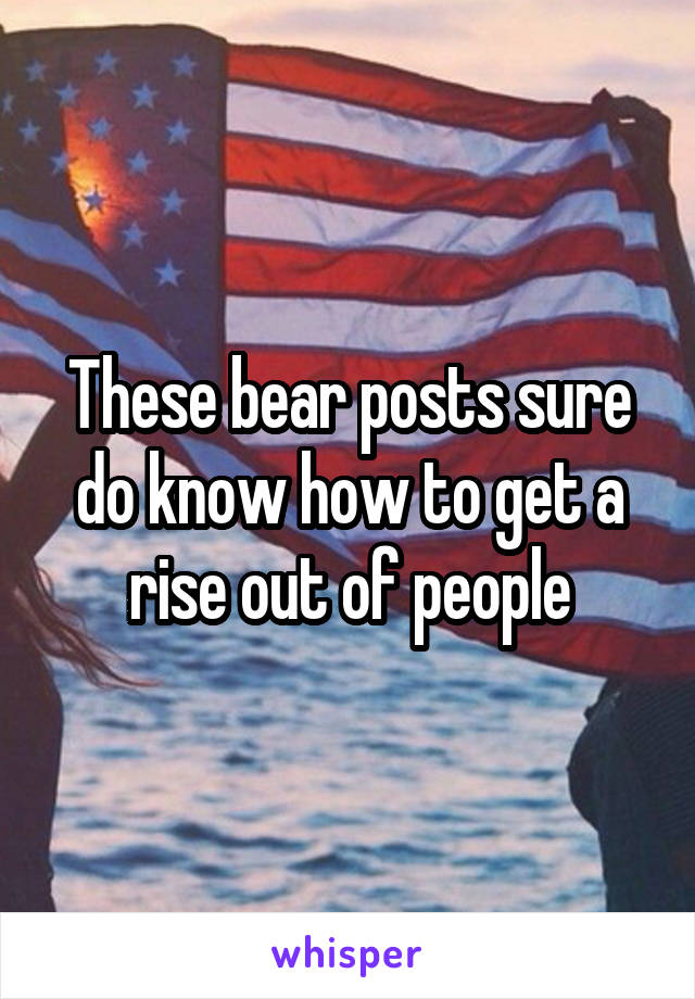 These bear posts sure do know how to get a rise out of people