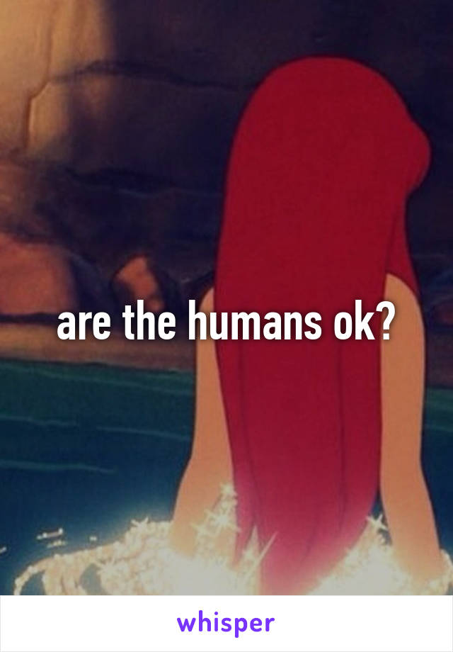 are the humans ok?