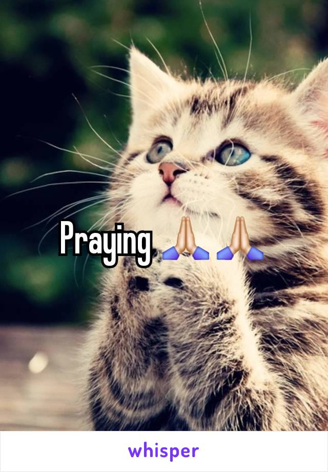 Praying 🙏🏻🙏🏻