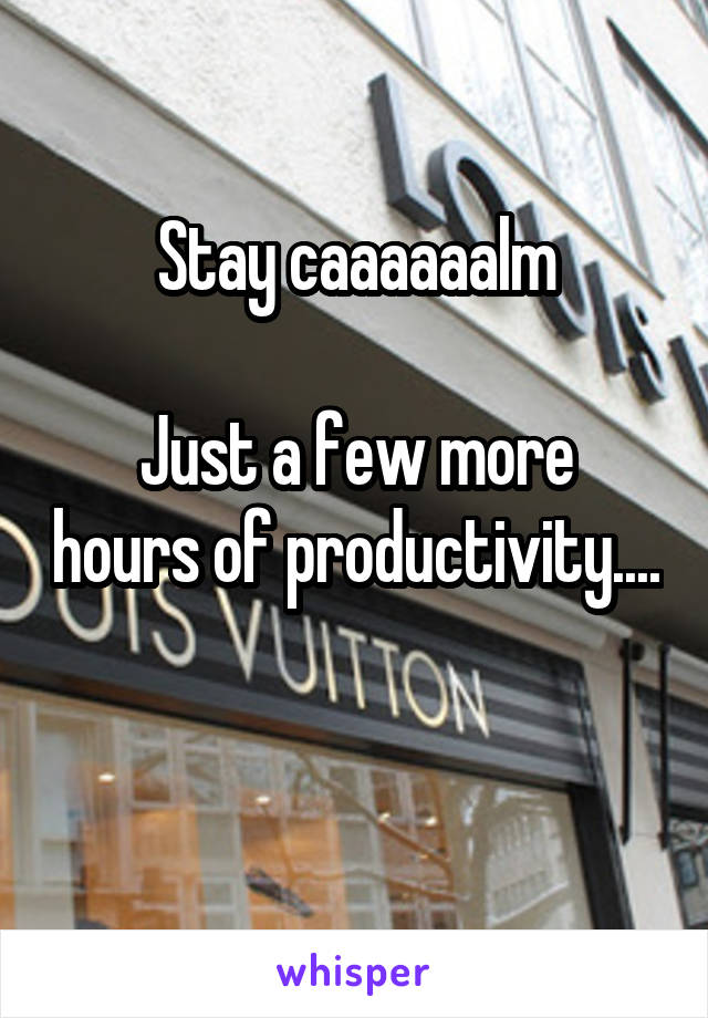 Stay caaaaaalm

Just a few more hours of productivity....

