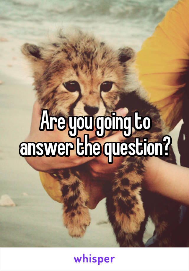 Are you going to answer the question?