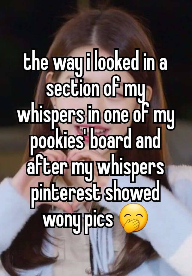 the way i looked in a section of my whispers in one of my pookies' board and after my whispers pinterest showed wony pics 🤭