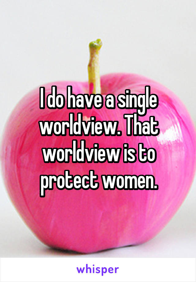 I do have a single worldview. That worldview is to protect women.