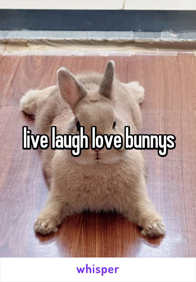 live laugh love bunnys