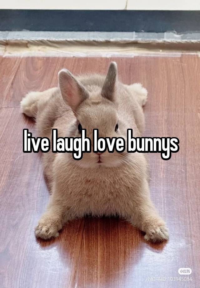 live laugh love bunnys