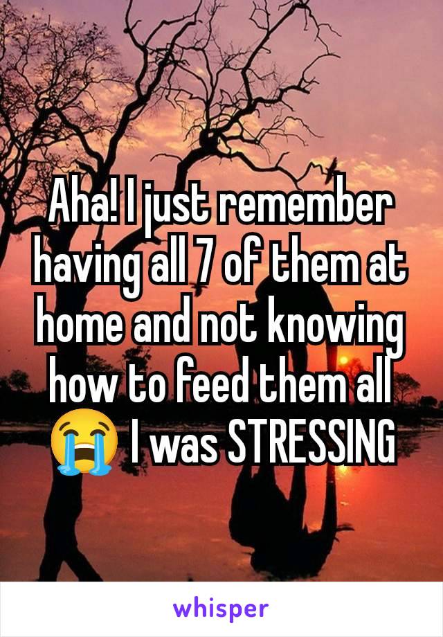 Aha! I just remember having all 7 of them at home and not knowing how to feed them all 😭 I was STRESSING