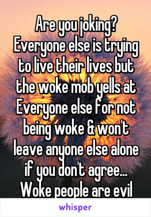 Are you joking? Everyone else is trying to live their lives but the woke mob yells at Everyone else for not being woke & won't leave anyone else alone if you don't agree...
Woke people are evil