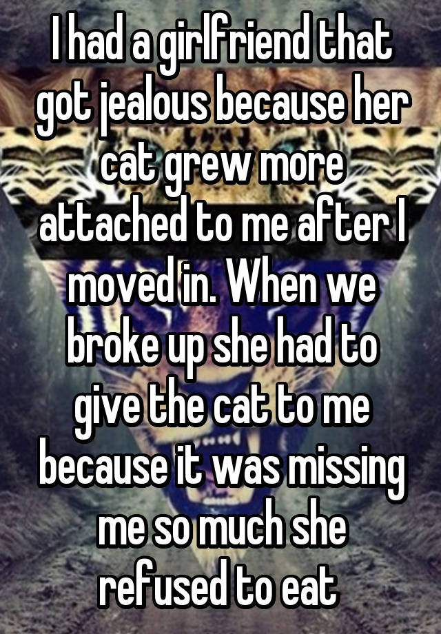 I had a girlfriend that got jealous because her cat grew more attached to me after I moved in. When we broke up she had to give the cat to me because it was missing me so much she refused to eat 